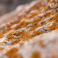Effective Real Estate Risk Management for Water Damage
