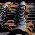 Protect Your Property with Expert Roofing Installation