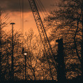 Crane Assisted Tree Removal for Real Estate Risk Management