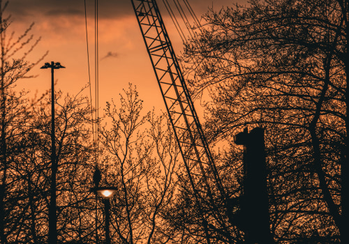 Crane Assisted Tree Removal for Real Estate Risk Management